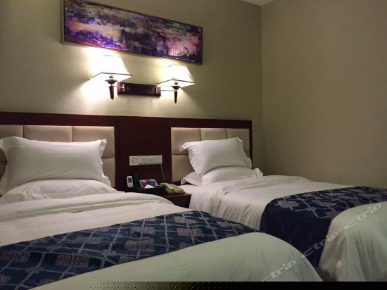 标准双床房（无窗）