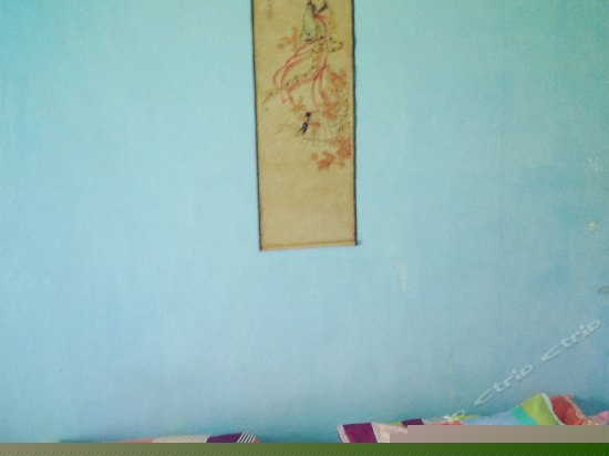 日韩榻榻米间（独立庭院）