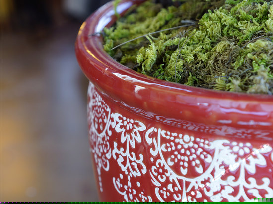 朱砂-泰式海景大床房