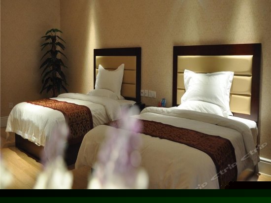 景观行政标准房