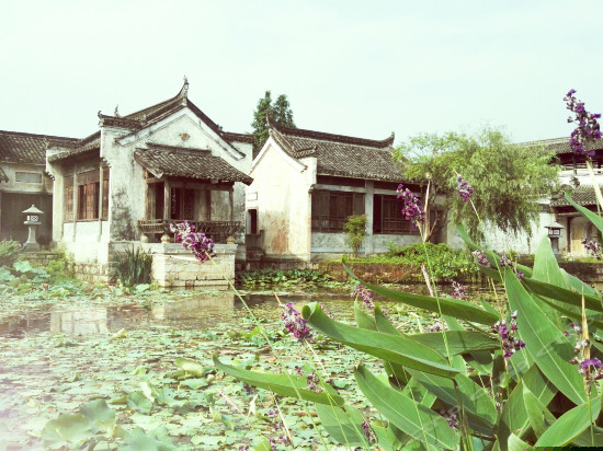 周边图片