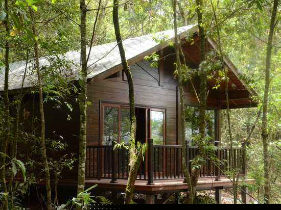 森林独栋木屋别墅（单人房）