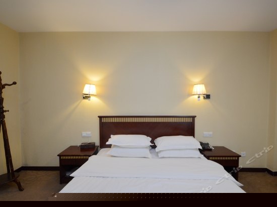 豪华商务单人间