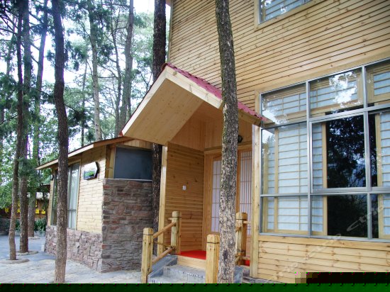 鸟巢主题大床房