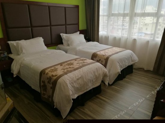 豪华商务双床房(无窗)