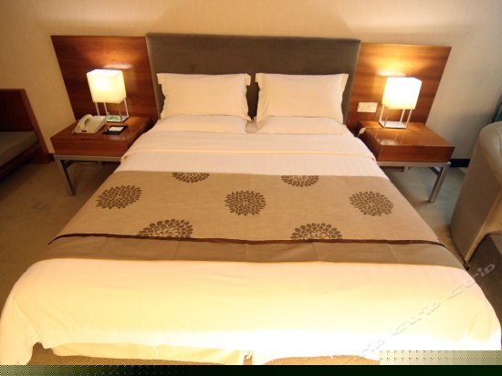 豪华商务大床间