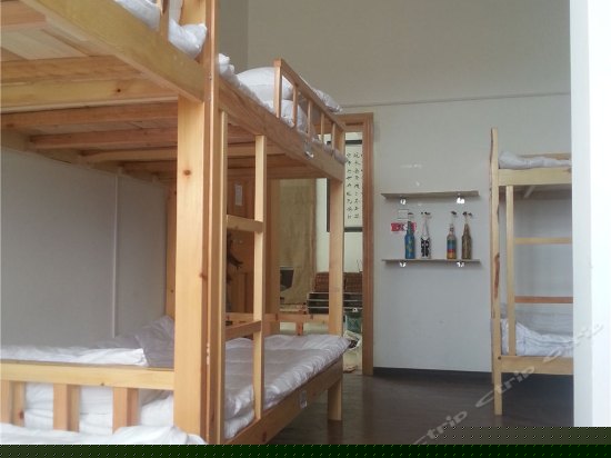 豪华混住14人间（按床位）