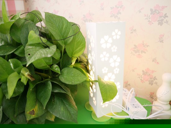 欧式复式二卧室二厅