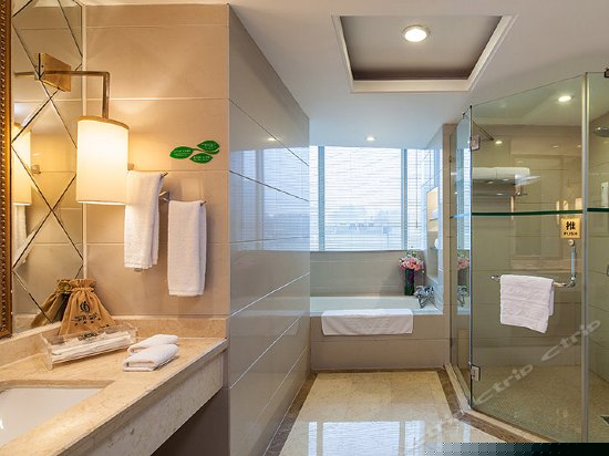 新良精选城景房