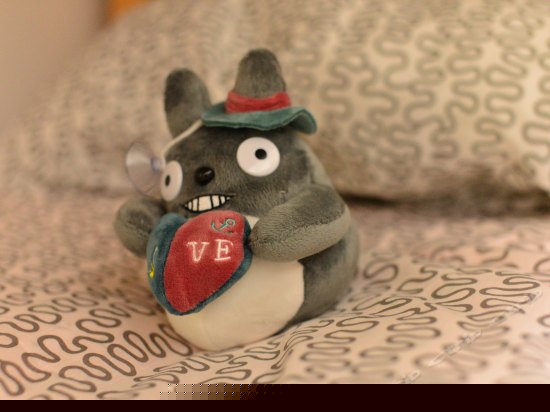 海贼王四人间（床位房）