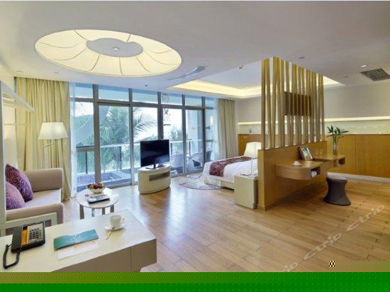 珊瑚高级海景房