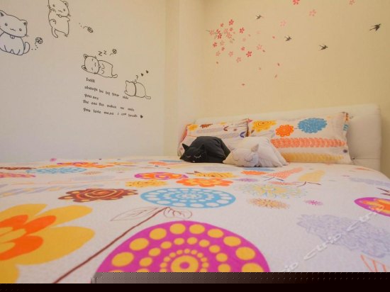 可爱的猫双人房