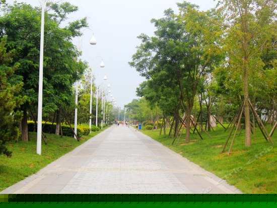 豪华市景大床房