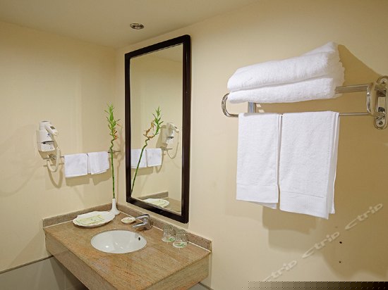 山海居 b大床房