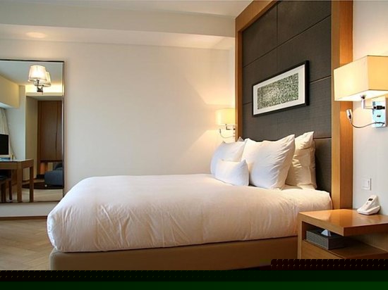 豪华行政单房公寓