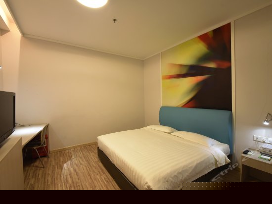 标准大床房(无窗)