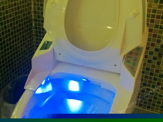 臻品圆床房(无窗)