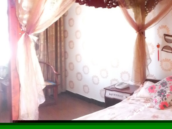 藏式特色大床房