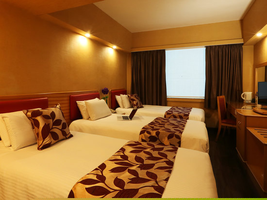 豪华三人客房(三张单人床)