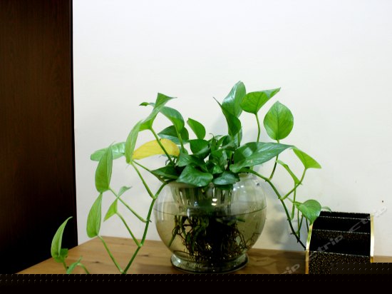 商务精装豪华标准间