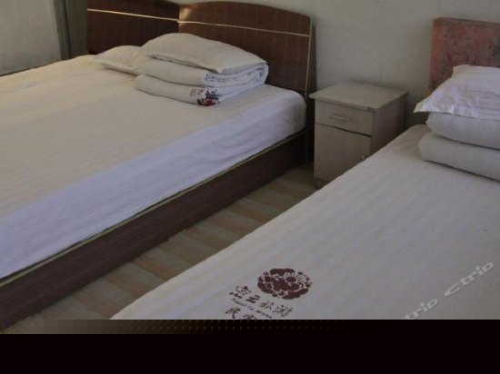 普通房（平日）