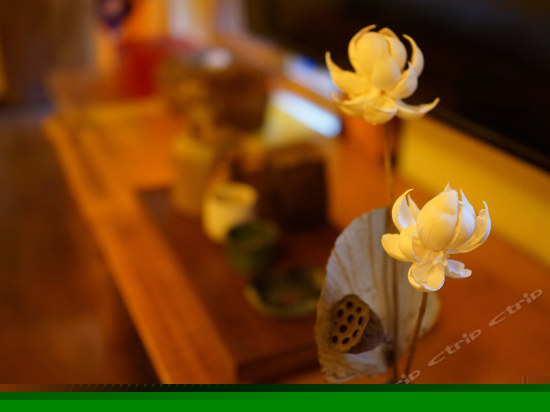 观照豪华标准间