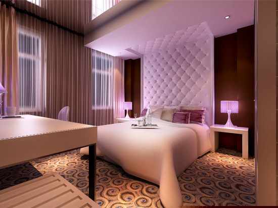 迷你摩登主题房