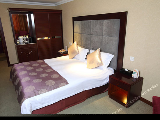 高级商务单人间B