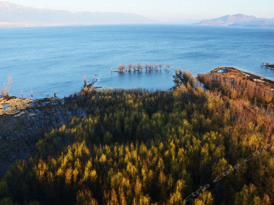 “倦时光”花语全画幅海景榻榻米