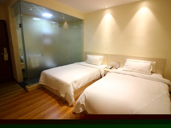标准双床房
