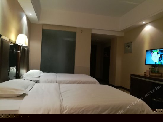 高级标准双床房