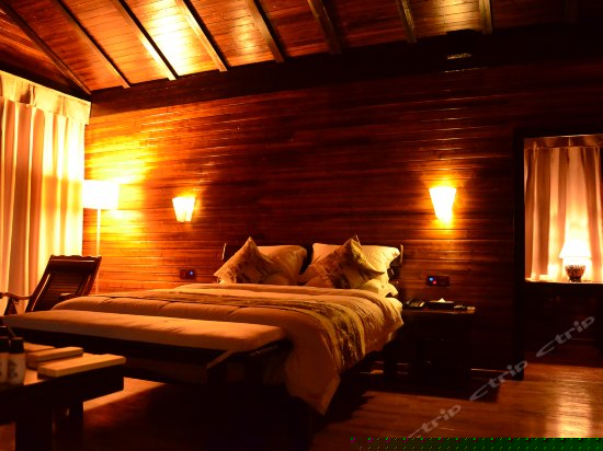 森林独栋木屋别墅（家庭房）