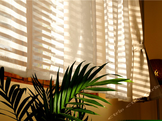 木莲-270度海景豪华房