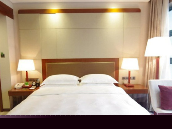 纽伦堡行政大床房