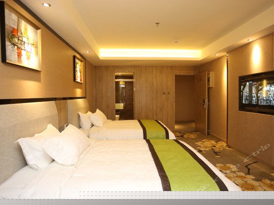 高级双床房