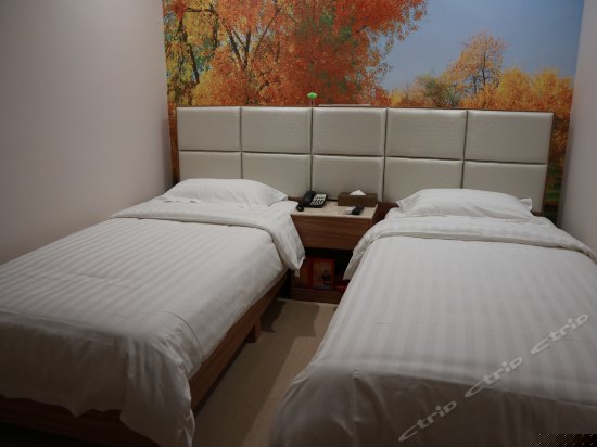 标准双人房