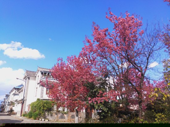 观山看海大理古城别墅