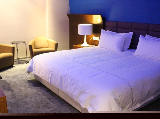 浪漫星空数码大床房(无窗)