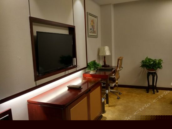 标准双床房（无窗）