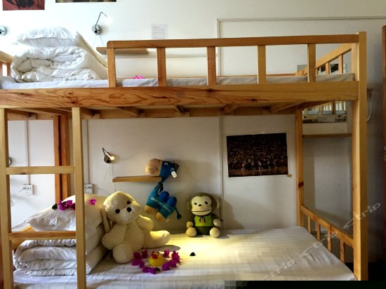 豪华混住14人间（按床位）