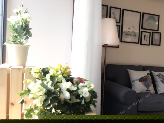 北欧风情阳光大床房