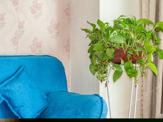 豪华精品双床房