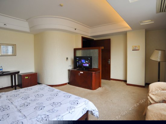 豪华行政单人房