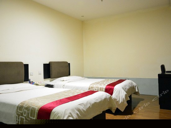 经济双床房（无窗）