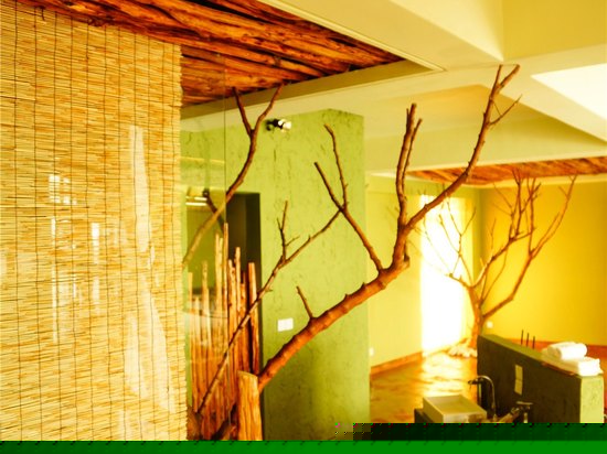 苏醒-雨林海景大床房