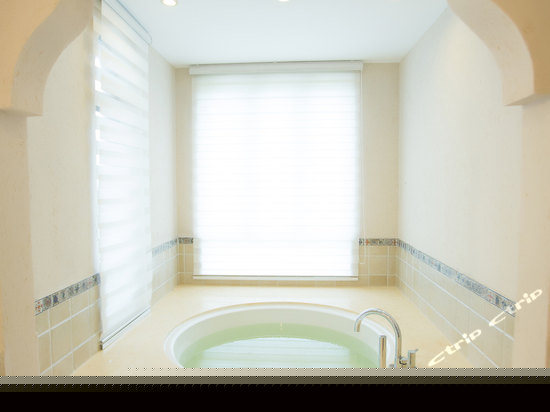 高级至尊豪华别墅