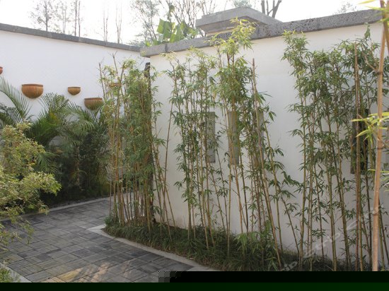 庭院式豪华套房（无窗）