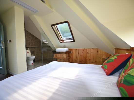 野蔷薇观景露台房