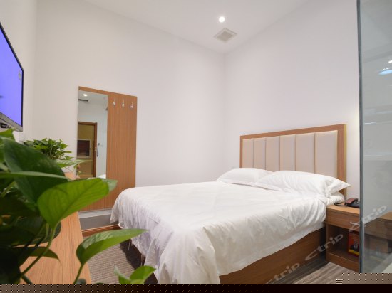 特价大床房(无窗)