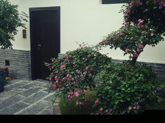 阳光庭院观景套房